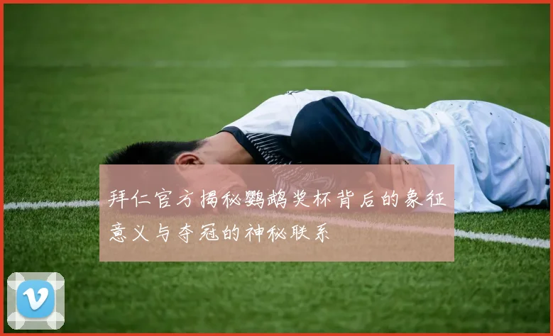 拜仁官方揭秘鹦鹉奖杯背后的象征意义与夺冠的神秘联系