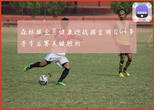 森林狼全员健康迎战掘金明日G4争夺季后赛关键胜利